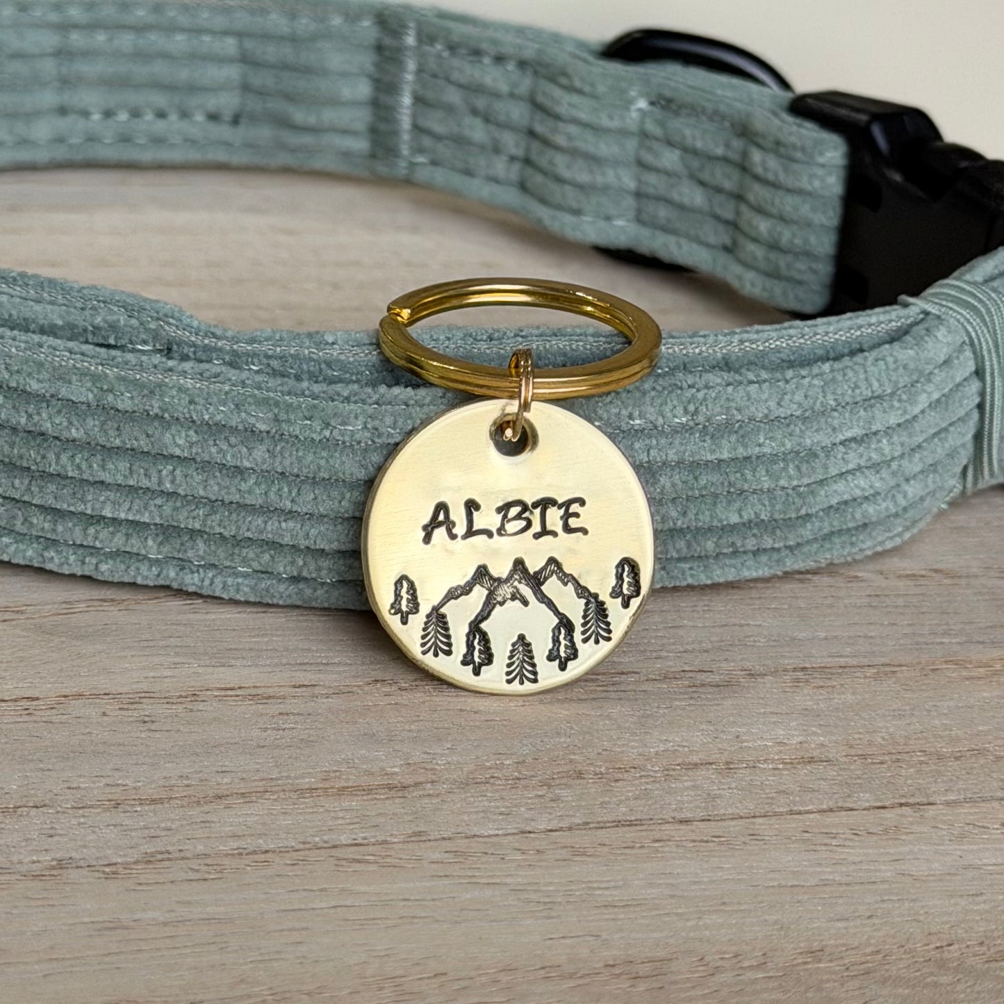 Mountain Tag